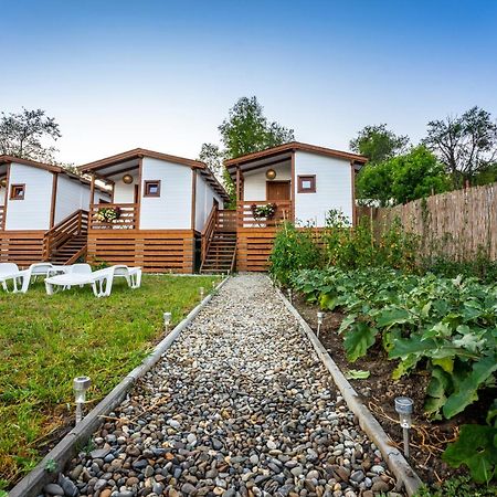 Flori Haus Saschiz Hotel Ngoại thất bức ảnh